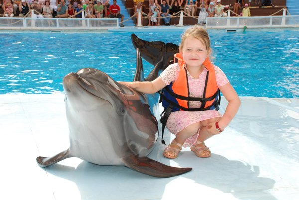 Click to open image!