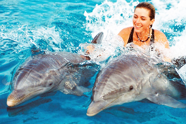 Click to open image!