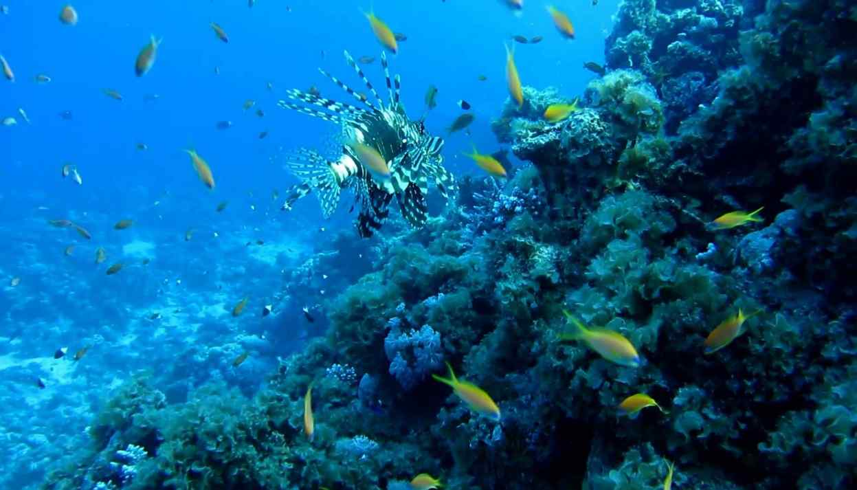 Click to open image!