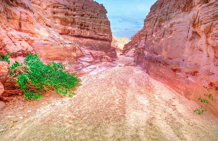 Click to open image!