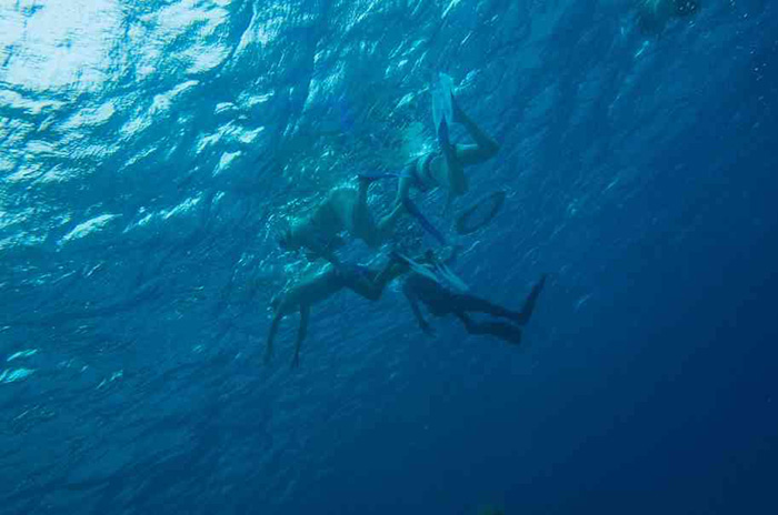 Click to open image!