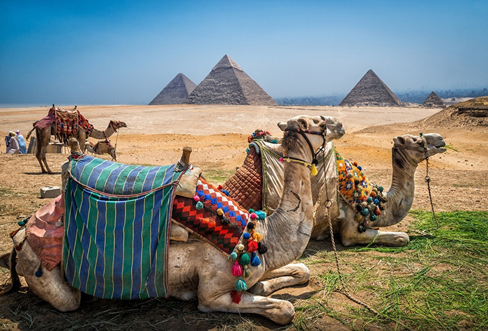 Click to open image!