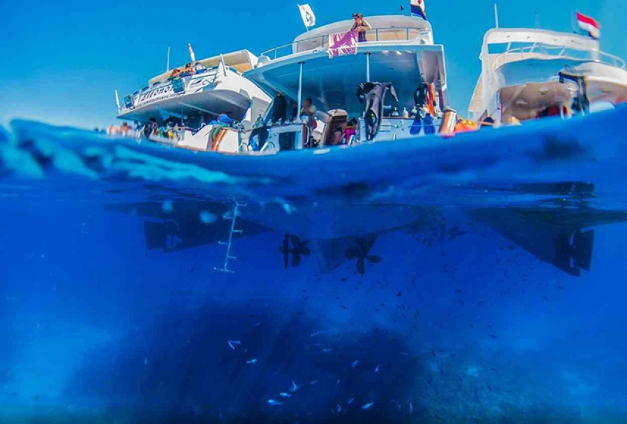 Sharm El Sheikh, St Catherine Monastery and Luxor Tours