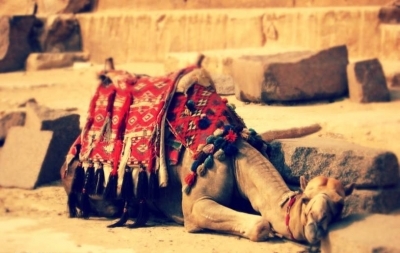 5 Days Cairo and Alexandria tours Package