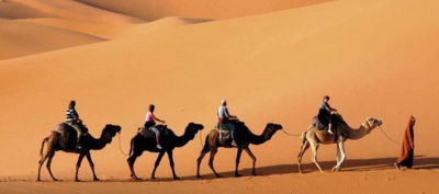Cairo, Nile Cruise and Safari Egypt Tours